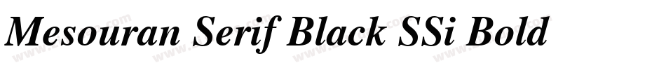 Mesouran Serif Black SSi Bold Italic字体转换
